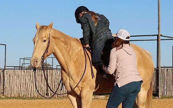 kid-safe-quarter-horse