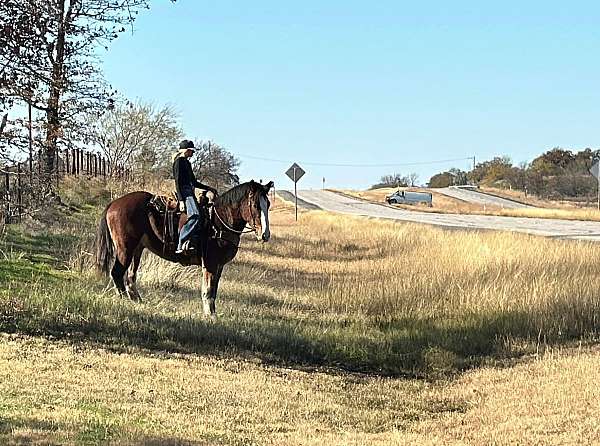 ranch-work-clydesdale-horse