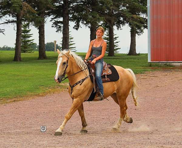 ranch-quarter-horse