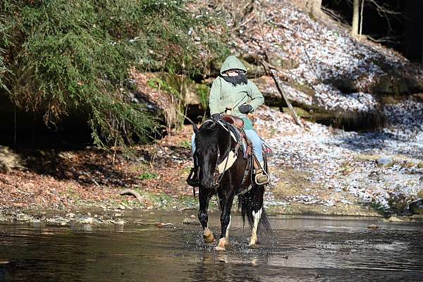 all-around-pony