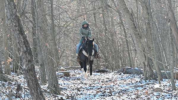 jumping-pony