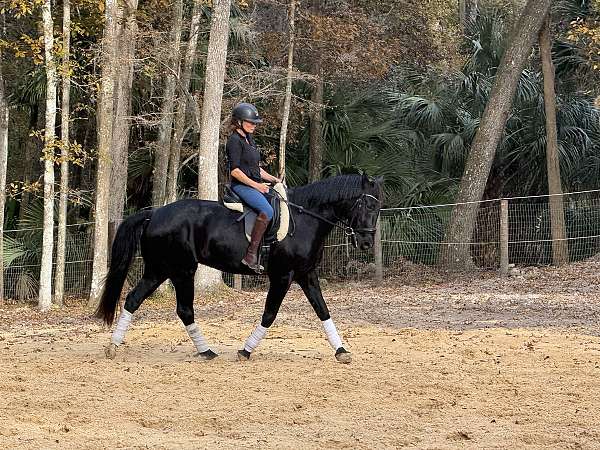 kid-safe-iberian-horse