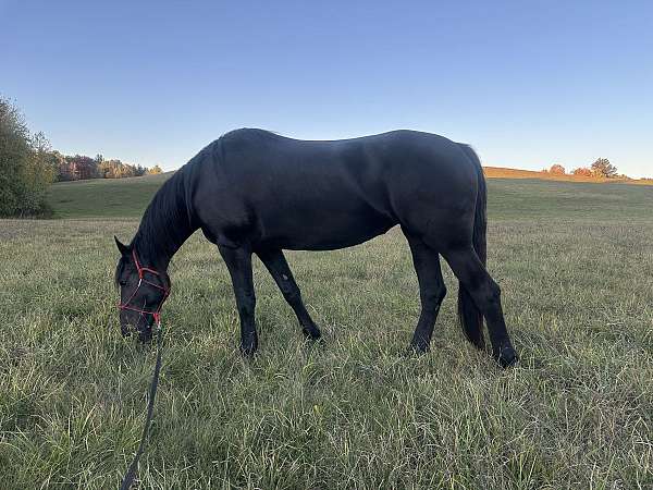 usef-weanling