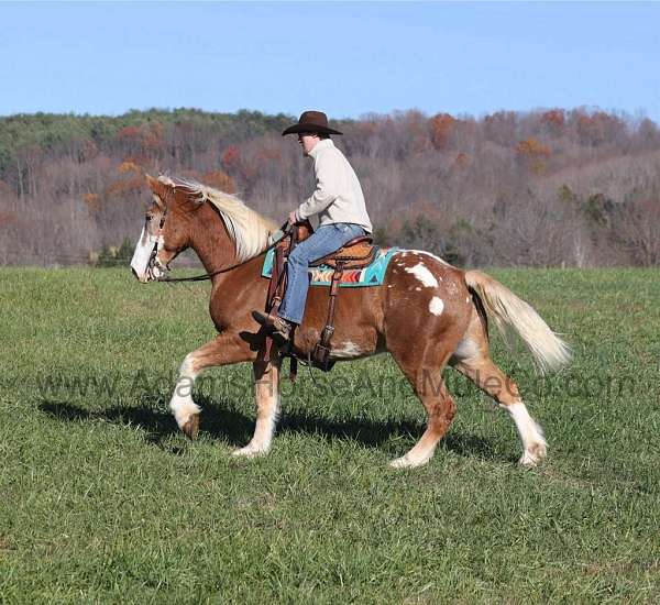 flax-mane-tail-blanket