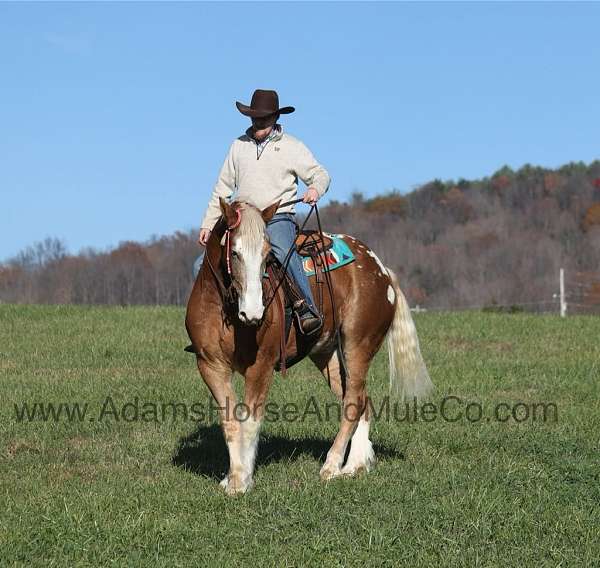 sorrel-flax-mane-tail-blanket-horse