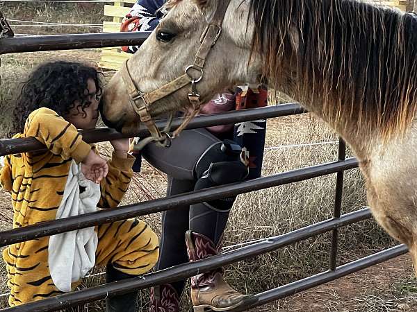 pinto-dun-with-markings-horse