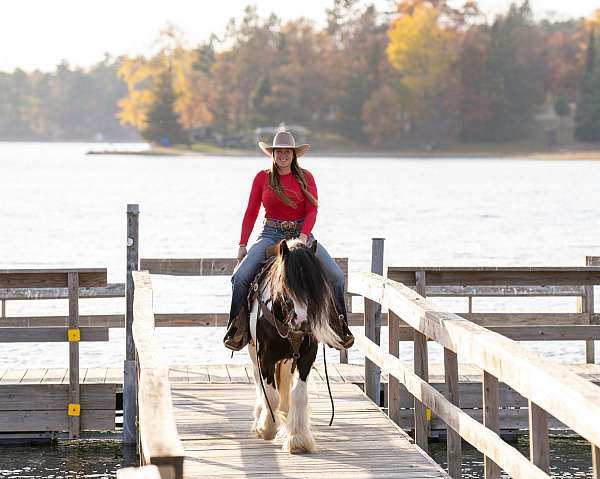 driving-gypsy-vanner-horse