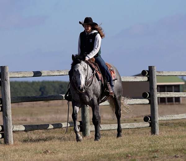 calf-roping-quarter-horse