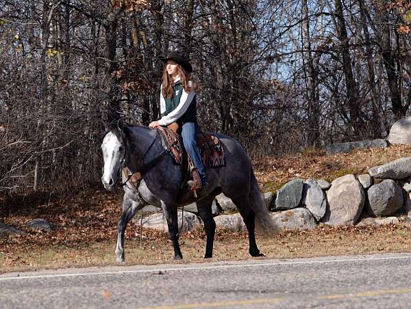 husband-safe-quarter-horse