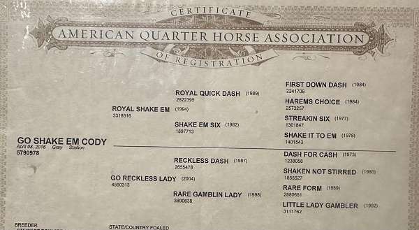 ranch-versatility-quarter-horse