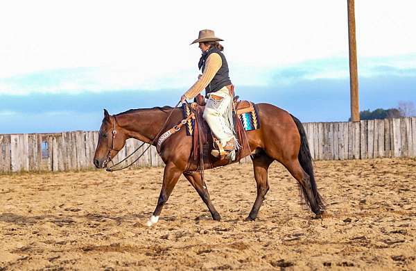 ranch-work-quarter-horse