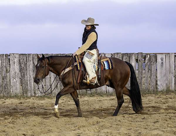 ranch-versatility-quarter-horse