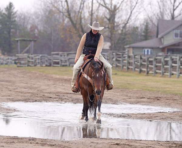 reined-cow-quarter-horse