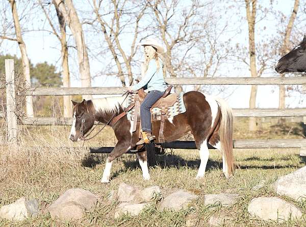 ranch-work-quarter-pony