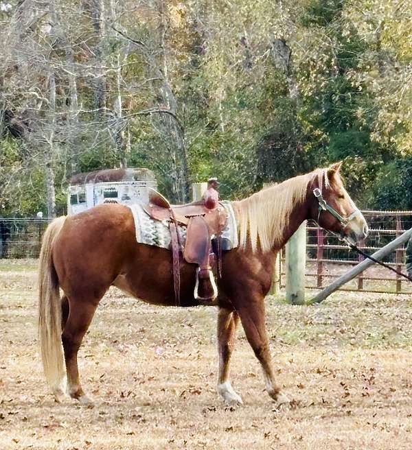 sorrel-branded-bar-over-mt-on-left-thigh-horse