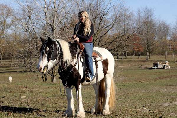 sit-gypsy-vanner-horse