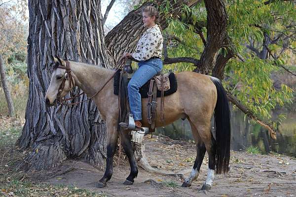 and-ranch-quarter-horse