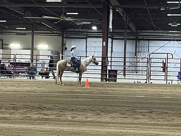 trail-riding-quarter-horse