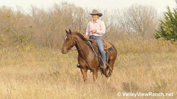 ranch-work-quarter-horse