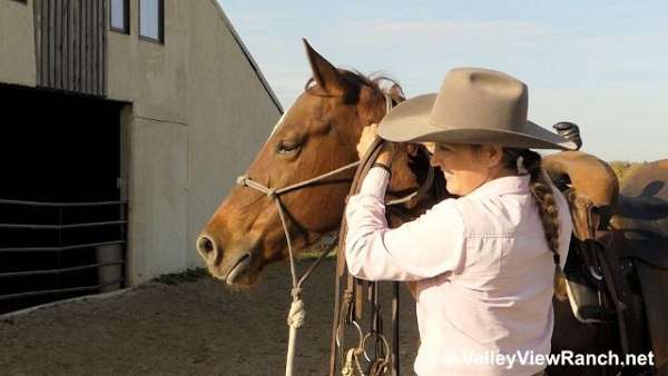 sorrel-cutting-horse