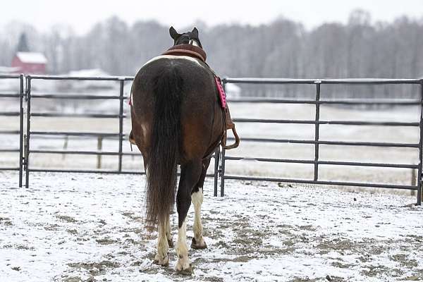 lesson-paint-horse