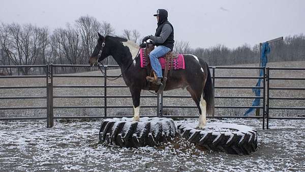 trick-paint-horse