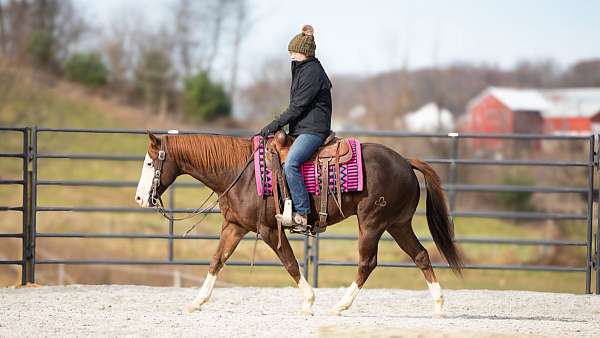 kid-safe-paint-horse