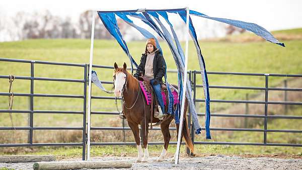 trail-riding-paint-horse