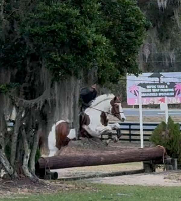 chestnut-tobiano-paint-horse