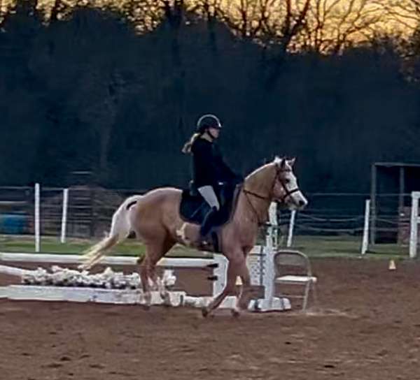 ranch-versatility-pinto-pony