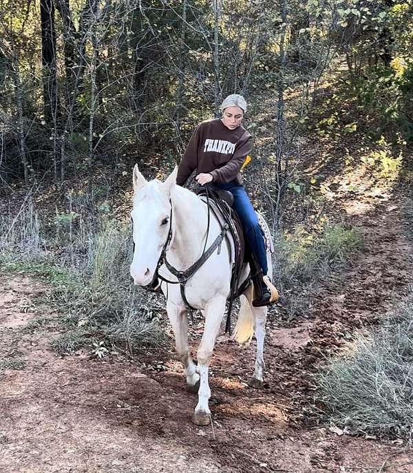 reining-quarter-horse