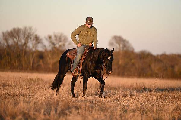 roping-quarter-horse