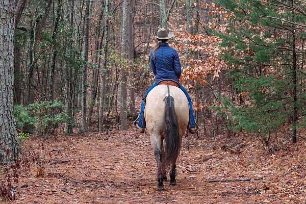 flashy-quarter-horse