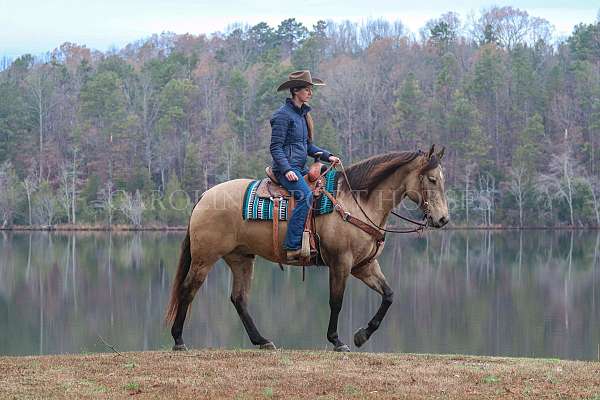 ranch-versatility-quarter-horse