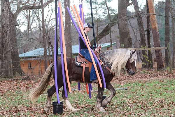 jumping-percheron-horse