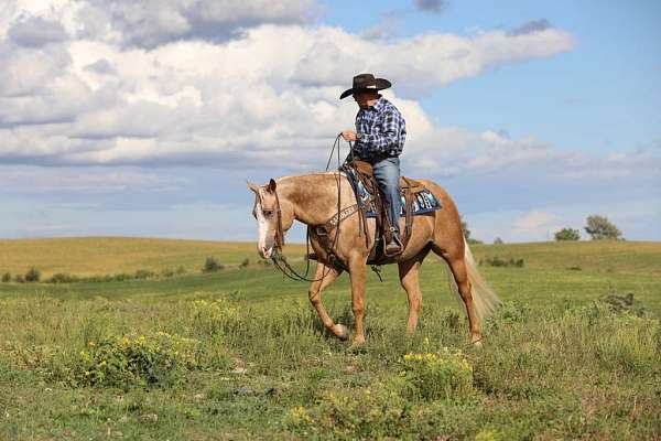 trail-riding-quarter-horse