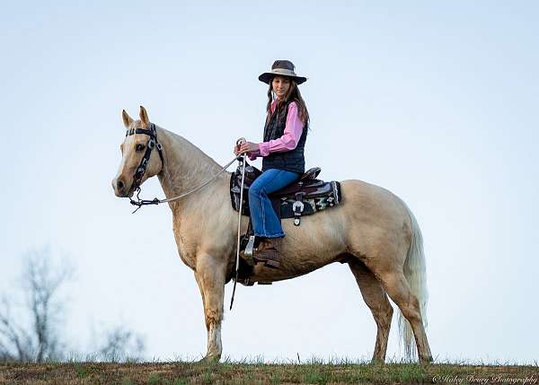 kid-safe-quarter-horse