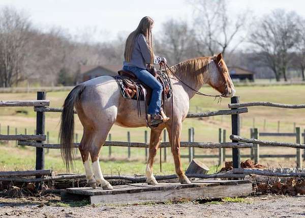 athletic-draft-horse