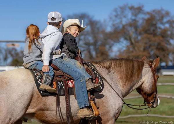 kid-safe-draft-horse