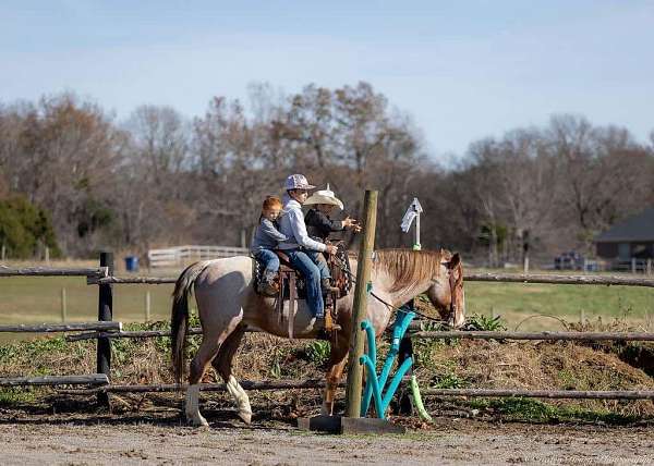 ranch-work-draft-horse