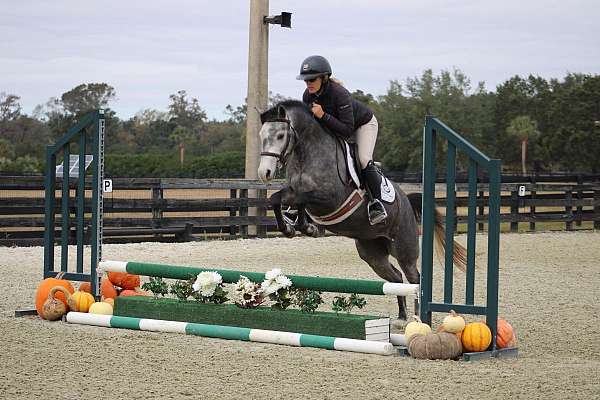 barrel-racing-shetland-pony