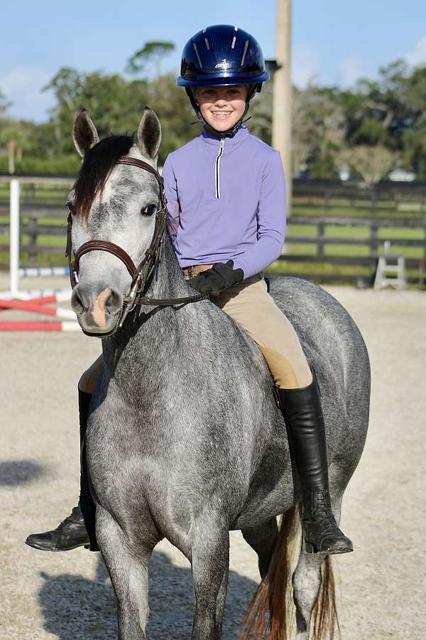 kid-safe-shetland-pony