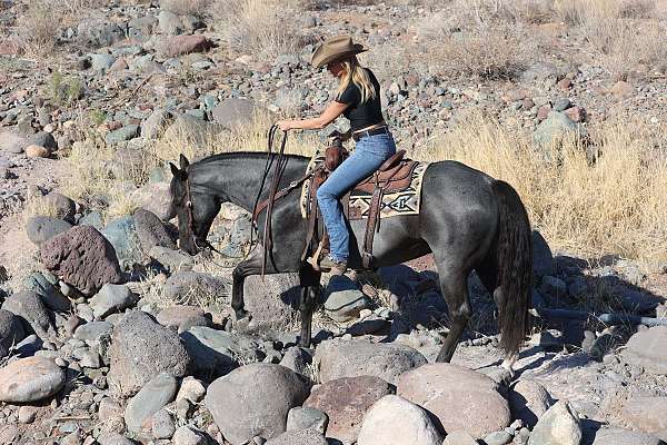 jumping-quarter-horse