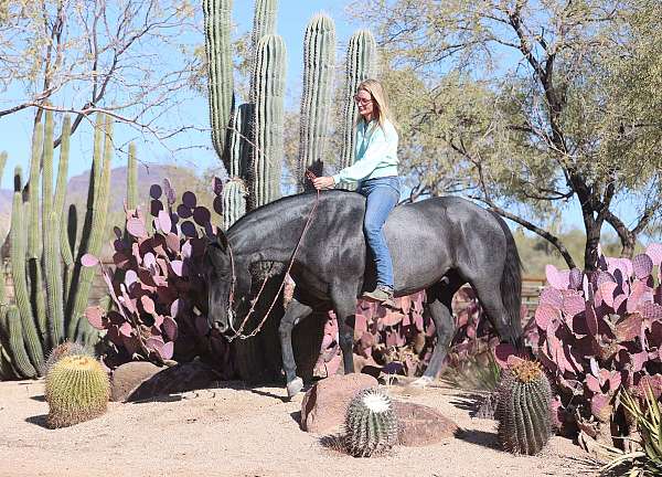 ranch-versatility-quarter-horse