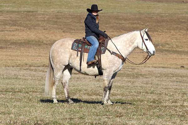 ranch-versatility-quarter-horse