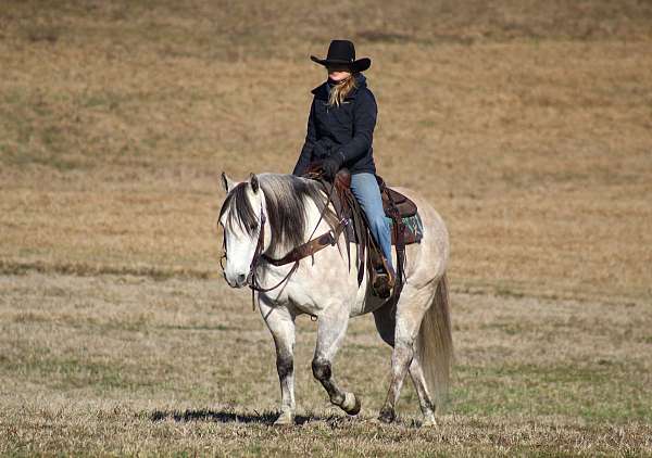 trail-riding-quarter-horse