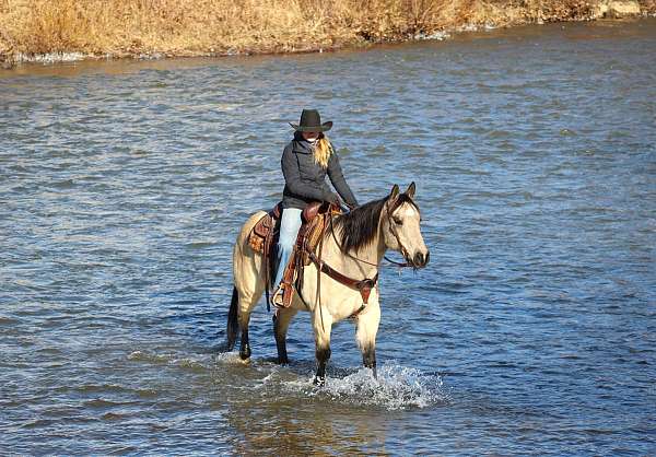 roping-quarter-horse