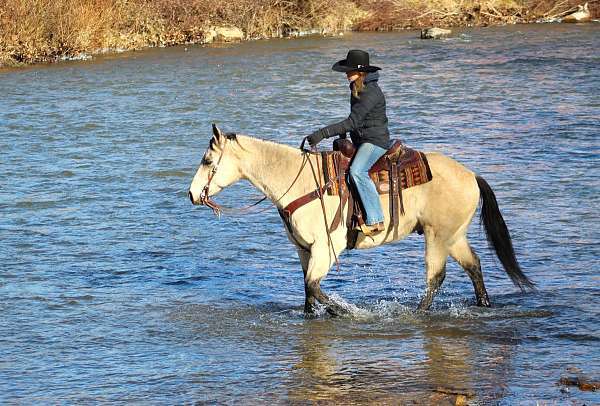 trail-riding-quarter-horse