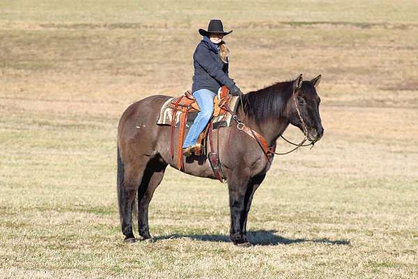 ranch-work-quarter-horse