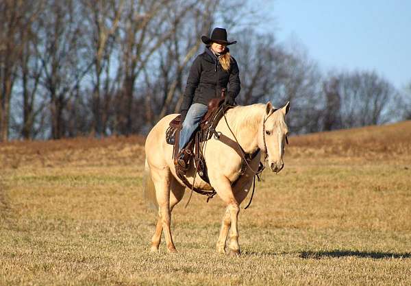 ranch-versatility-quarter-horse